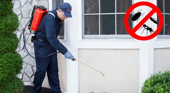 Gömeç Kene İlaçlama böcek ilaçlama ve haşere kontrolü — ilaclama-tr.com